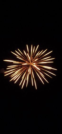 fireworks, fireworks Wallpaper 828x1792