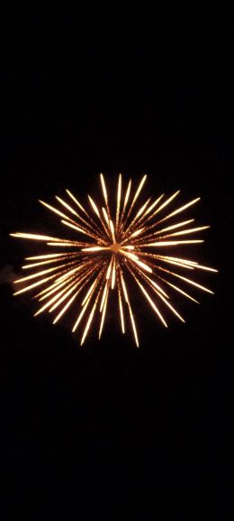fireworks, fireworks Wallpaper 1080x2400