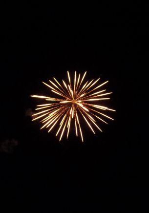 fireworks, fireworks Wallpaper 1668x2388