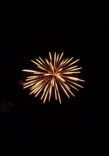 fireworks, fireworks Wallpaper 1640x2360