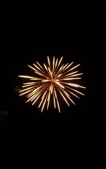 fireworks, fireworks Wallpaper 1752x2800