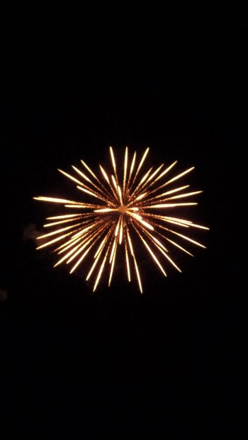 fireworks, fireworks Wallpaper 640x1136