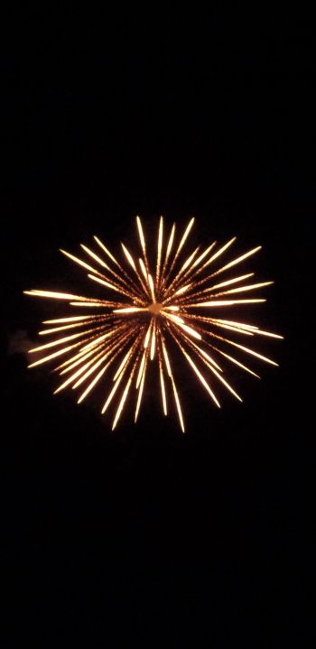 fireworks, fireworks Wallpaper 1080x2220