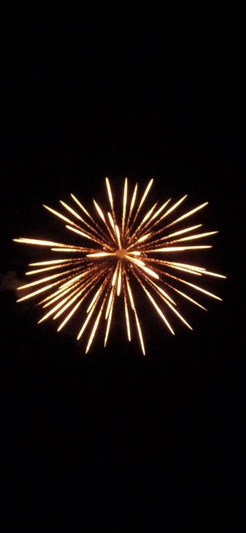 fireworks, fireworks Wallpaper 1242x2688