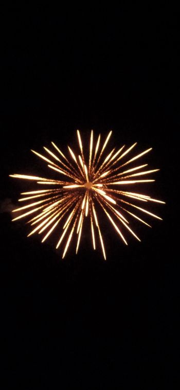 fireworks, fireworks Wallpaper 1080x2340