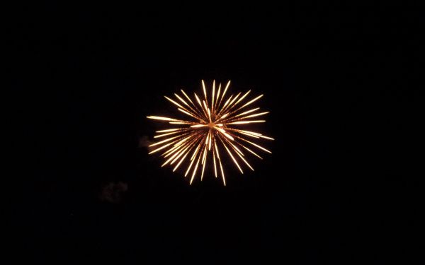 fireworks, fireworks Wallpaper 2560x1600
