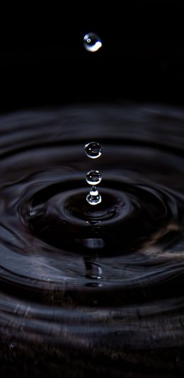 ripple, water, drop Wallpaper 1080x2220