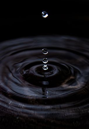 ripple, water, drop Wallpaper 1640x2360