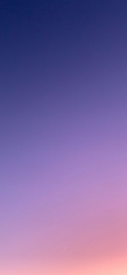 gradient, pink, sky Wallpaper 1170x2532