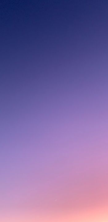 gradient, pink, sky Wallpaper 1080x2220