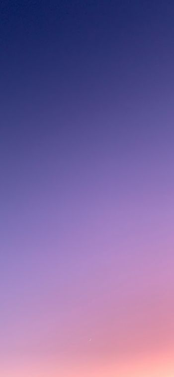 gradient, pink, sky Wallpaper 1125x2436