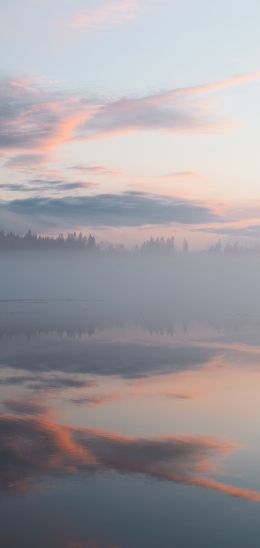 Finland, lake, fog Wallpaper 1440x3040