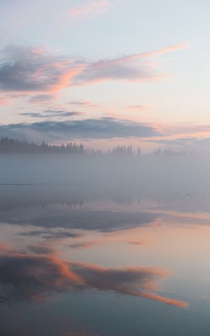 Обои 1752x2800 Финляндия, озеро, туман
