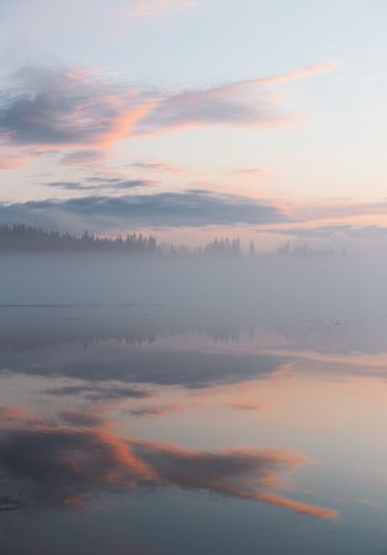 Обои 1668x2388 Финляндия, озеро, туман