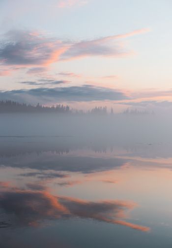 Finland, lake, fog Wallpaper 1640x2360