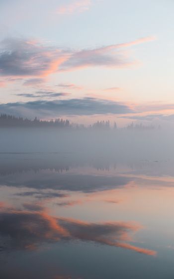 Обои 1600x2560 Финляндия, озеро, туман