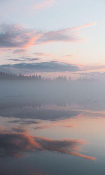Обои 1200x2000 Финляндия, озеро, туман