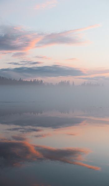 Обои 600x1024 Финляндия, озеро, туман