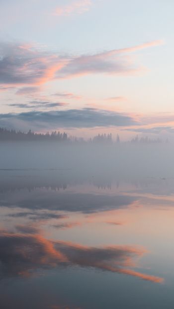 Обои 750x1334 Финляндия, озеро, туман