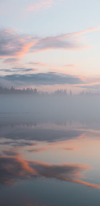 Finland, lake, fog Wallpaper 1440x2960