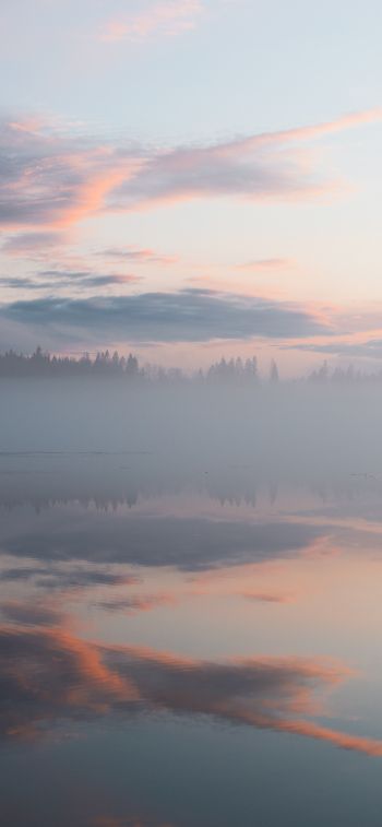 Finland, lake, fog Wallpaper 1170x2532