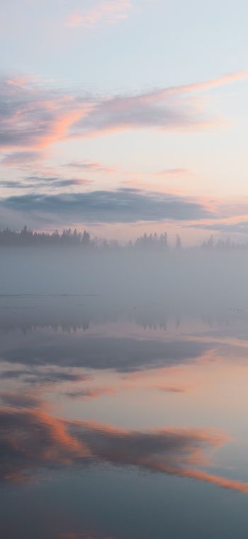 Finland, lake, fog Wallpaper 1080x2340