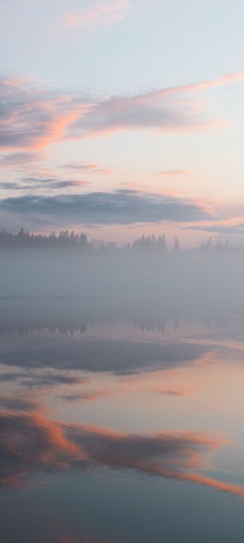 Finland, lake, fog Wallpaper 1080x2400