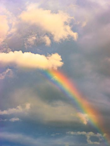 rainbow, clouds, height Wallpaper 1620x2160