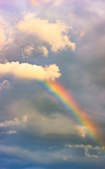 rainbow, clouds, height Wallpaper 1600x2560