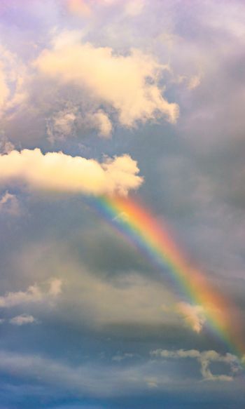 rainbow, clouds, height Wallpaper 1200x2000