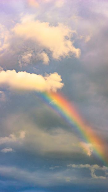 rainbow, clouds, height Wallpaper 640x1136