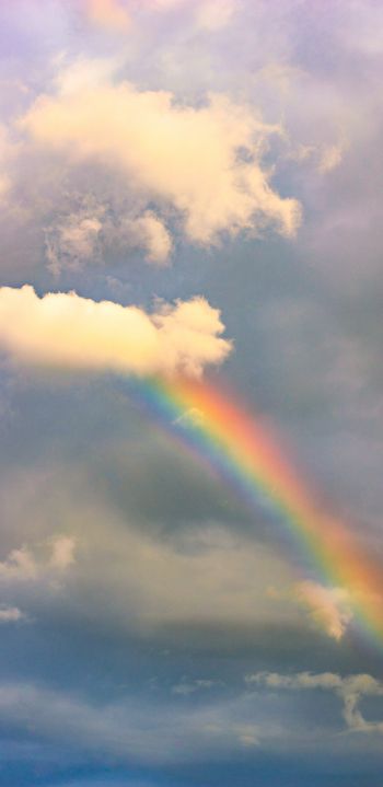 rainbow, clouds, height Wallpaper 1080x2220