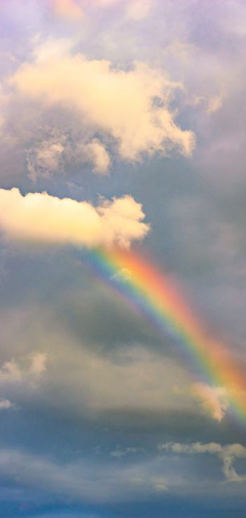 rainbow, clouds, height Wallpaper 1440x3040