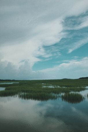 swamp, clouds Wallpaper 640x960