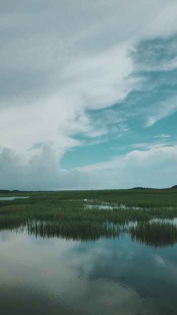 swamp, clouds Wallpaper 640x1136