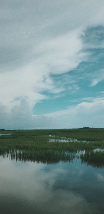 swamp, clouds Wallpaper 1440x2960