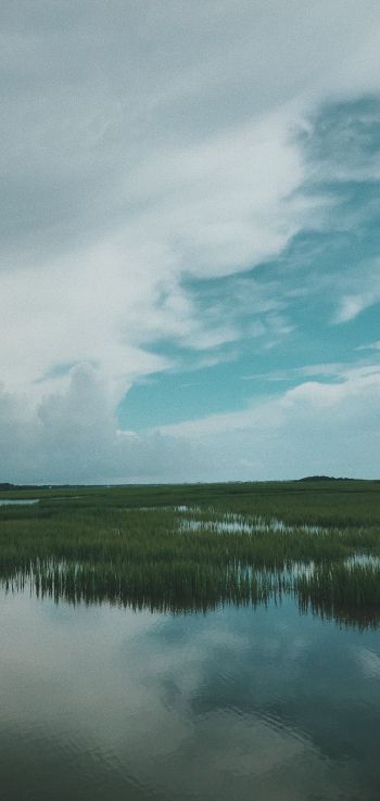 swamp, clouds Wallpaper 1080x2280
