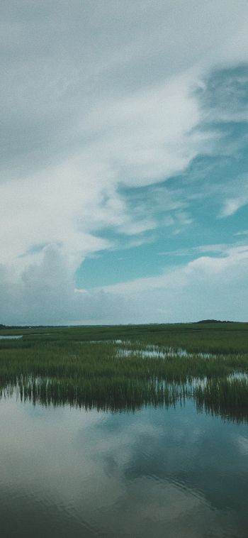 swamp, clouds Wallpaper 1080x2340
