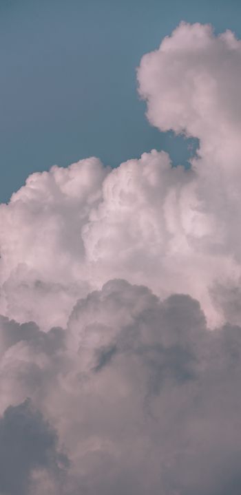 sky, clouds, fluffy Wallpaper 1080x2220