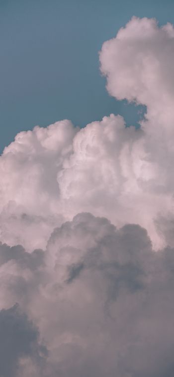 sky, clouds, fluffy Wallpaper 1170x2532