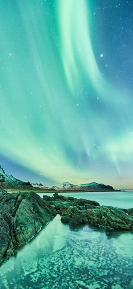 northern lights, Lofoten Islands Wallpaper 1284x2778