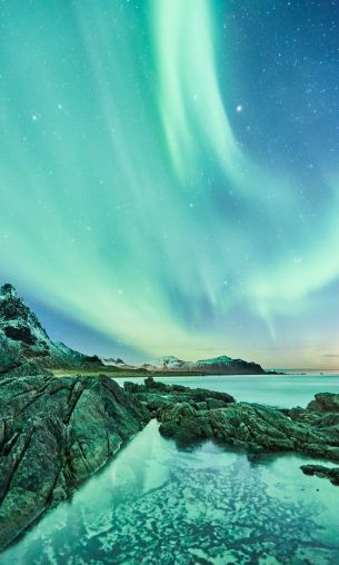 northern lights, Lofoten Islands Wallpaper 1200x2000