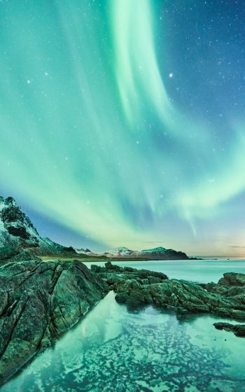 northern lights, Lofoten Islands Wallpaper 1600x2560