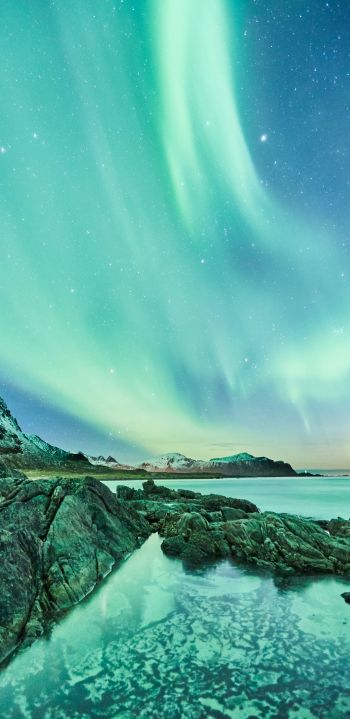 northern lights, Lofoten Islands Wallpaper 1080x2220