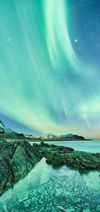 northern lights, Lofoten Islands Wallpaper 1080x2280
