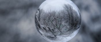 ball, sphere, reflection Wallpaper 2560x1080