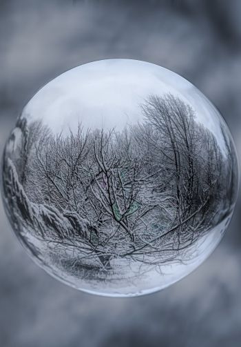 ball, sphere, reflection Wallpaper 1640x2360