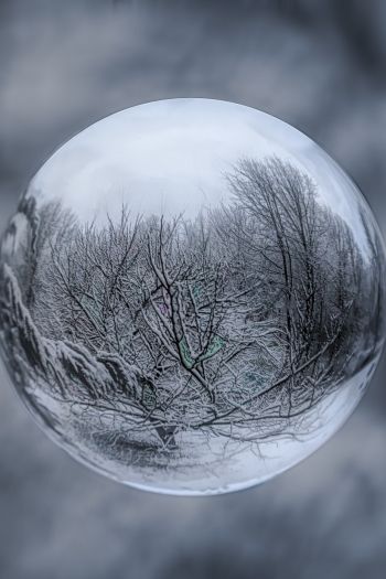 Обои 640x960 шар, сфера, отражение