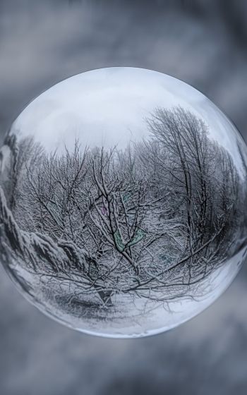 ball, sphere, reflection Wallpaper 800x1280