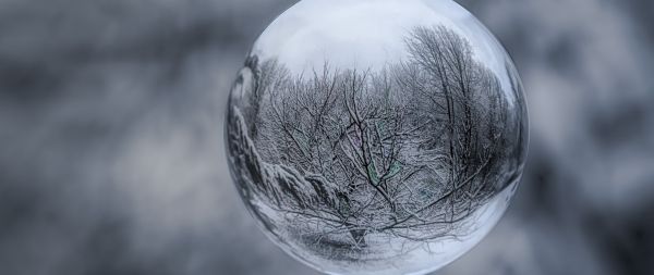 ball, sphere, reflection Wallpaper 2560x1080